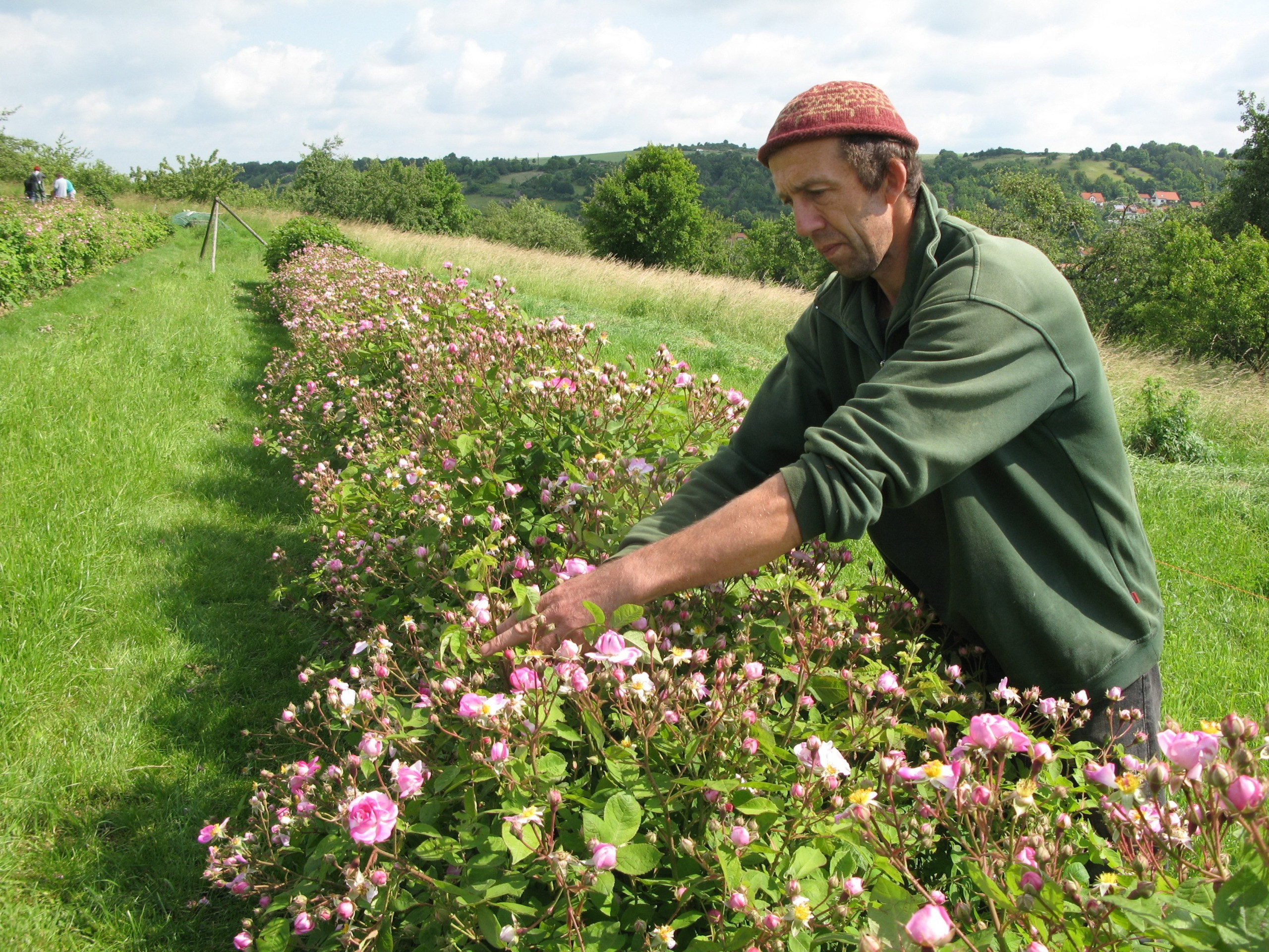 Bild "Willkommen:schnitterfolg_im_Jahr_danach.jpg"